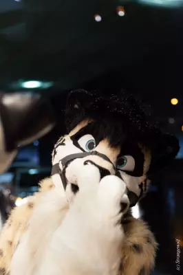 IMG_6845-lr19t.jpg of MFF/MFF2018/