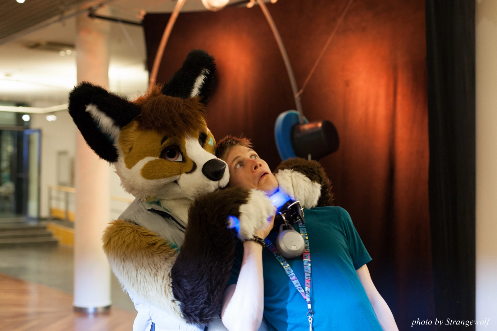 full image IMG_0270-lr16t.jpg