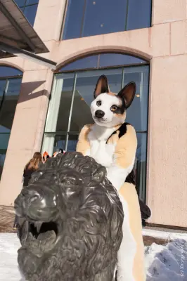 IMG_9570-lr19t.jpg of NFC/NFC2018/