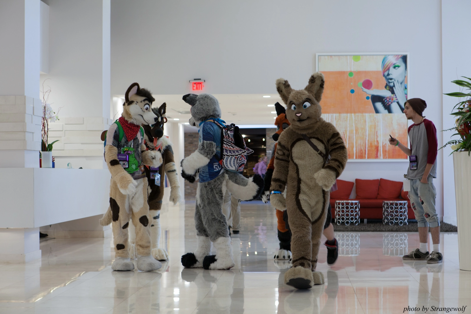 full image IMG_8289-lr16t.jpg