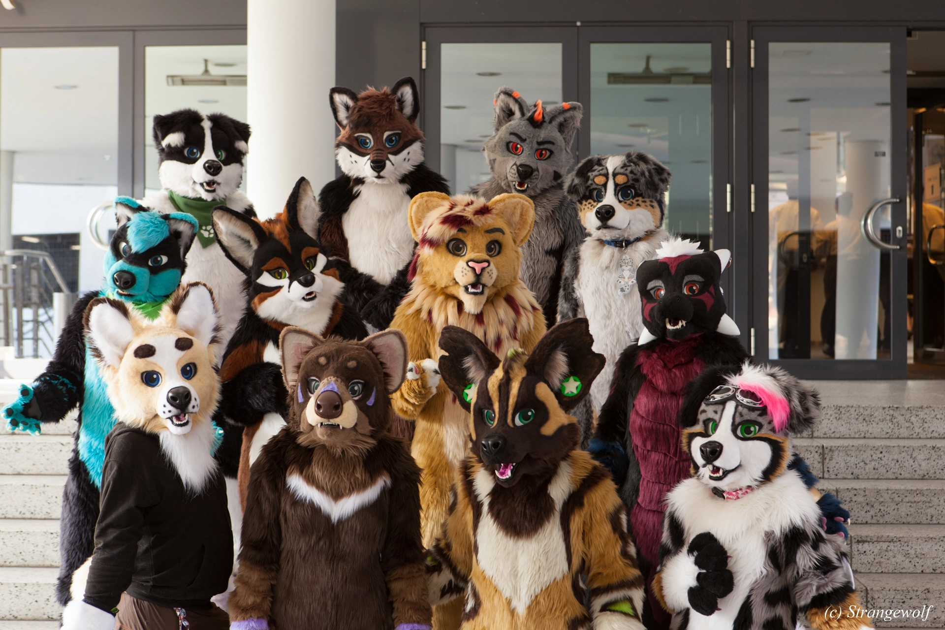 full image IMG_4907-lr19t.jpg