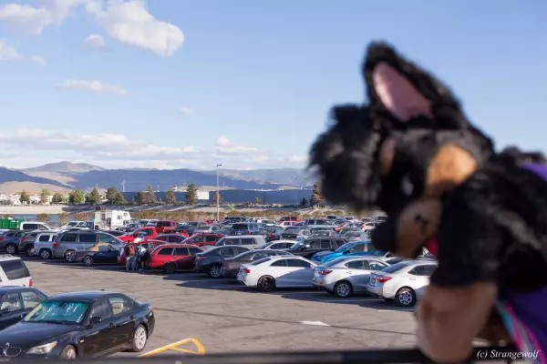 IMG_2515-lr19t.jpg of BLFC/2018/