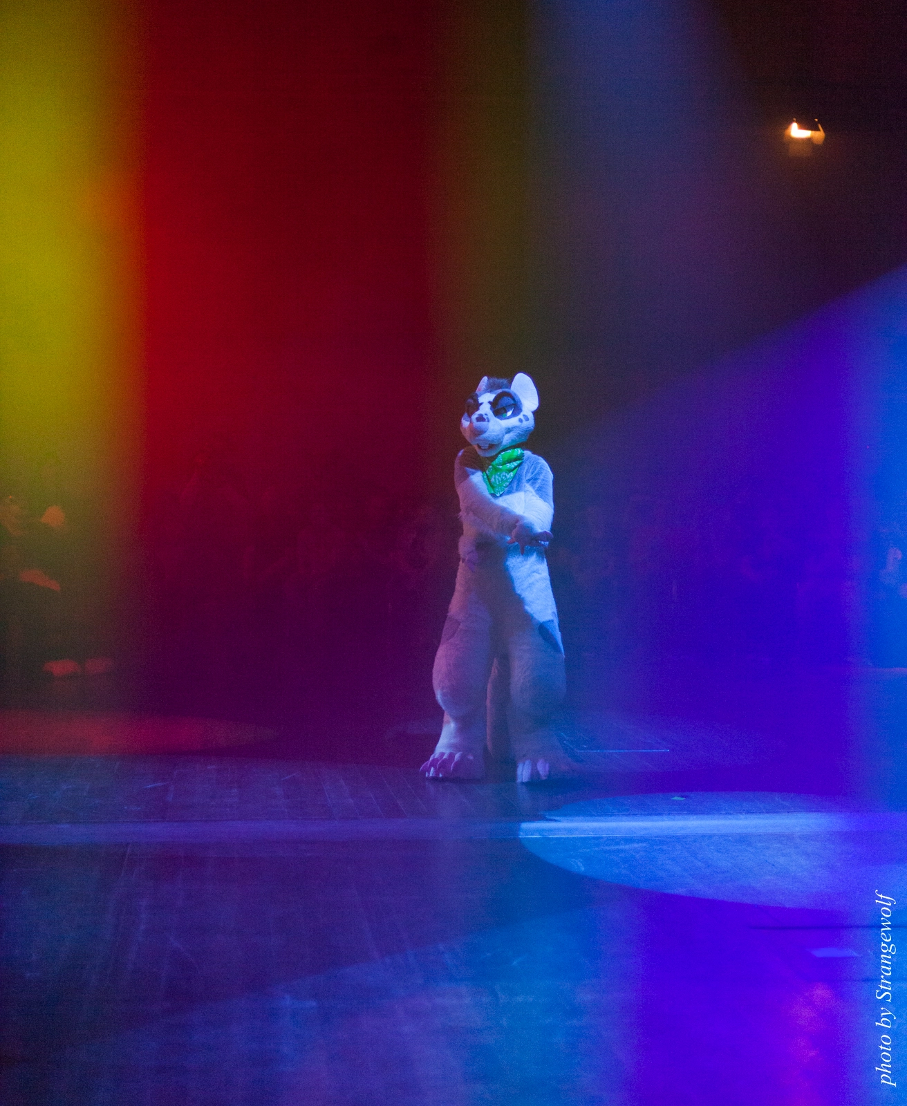 full image IMG_2413-lr16t.jpg