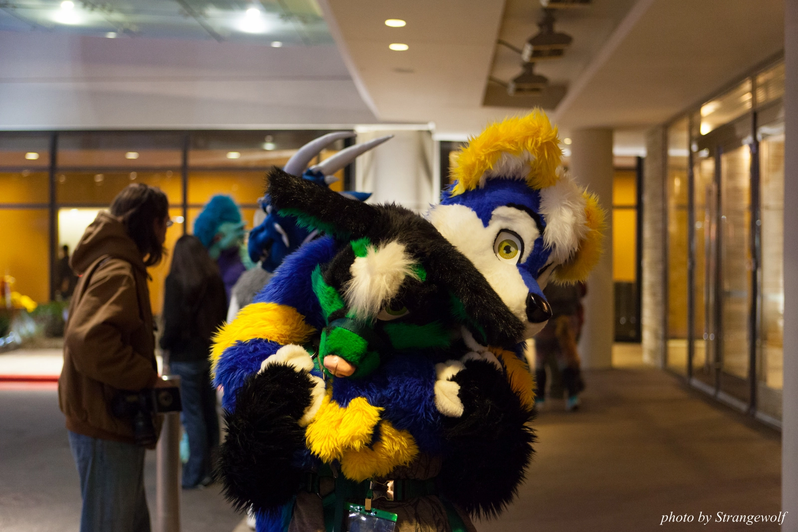 full image IMG_5915-lr16t.jpg