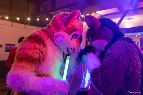 Next album: Furstrike2023