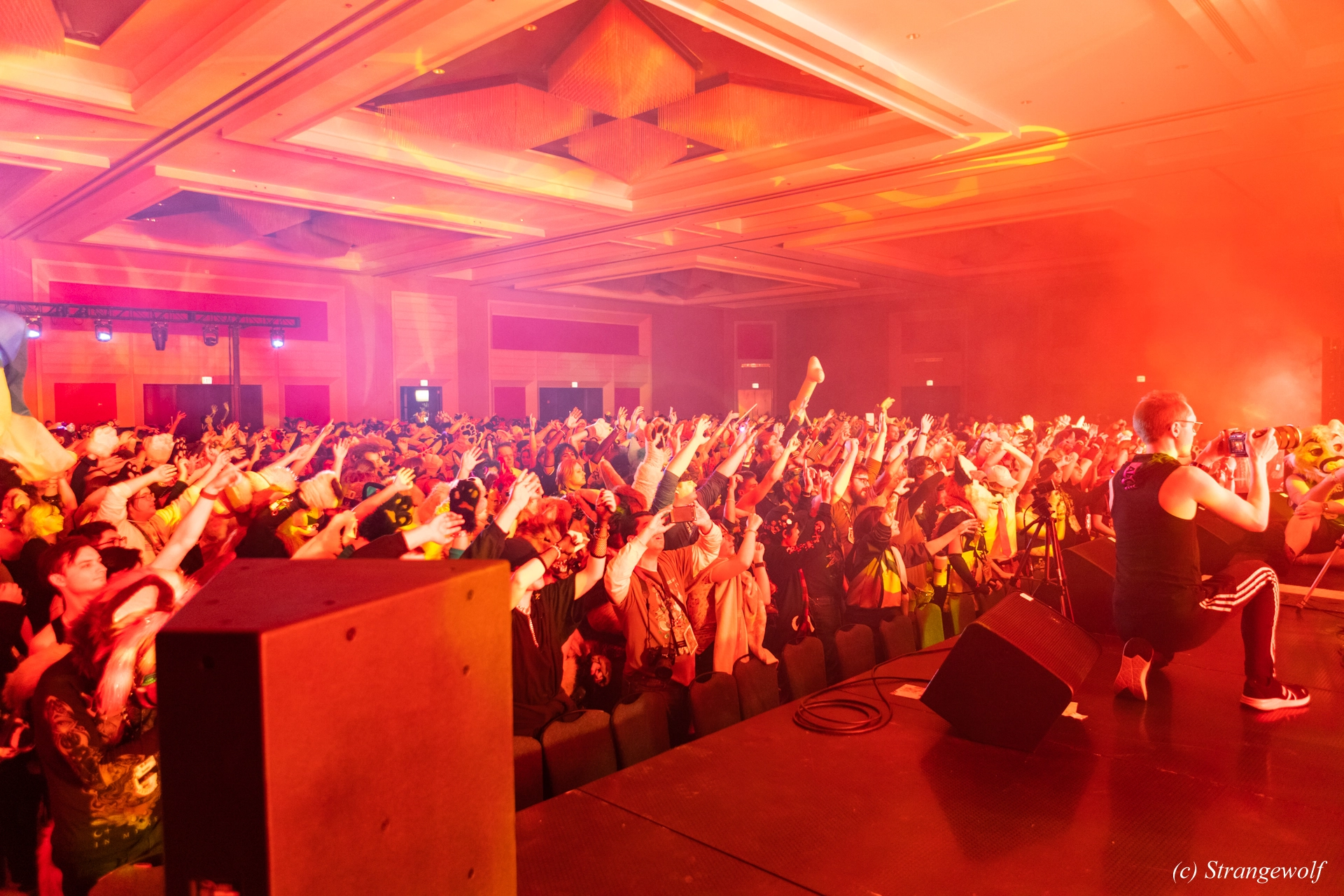 full image 1R3A5194-lr19t.jpg