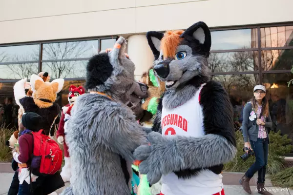 IMG_8199-lr19t.jpg of MFF/MFF2017/