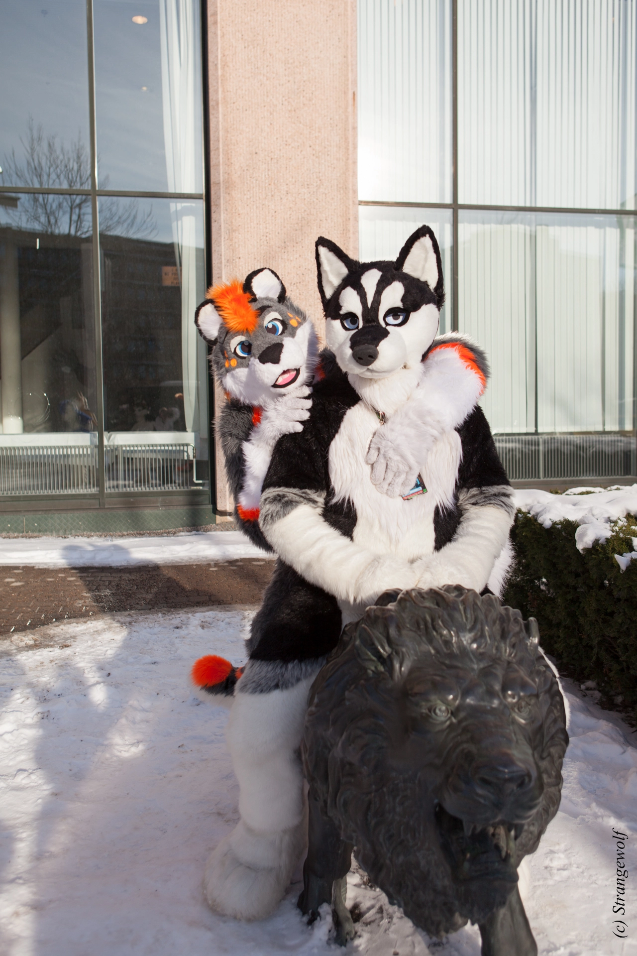 full image IMG_0119-lr19t.jpg