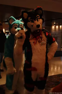 IMG_1122-lr.jpg of MFF/MFF2013/