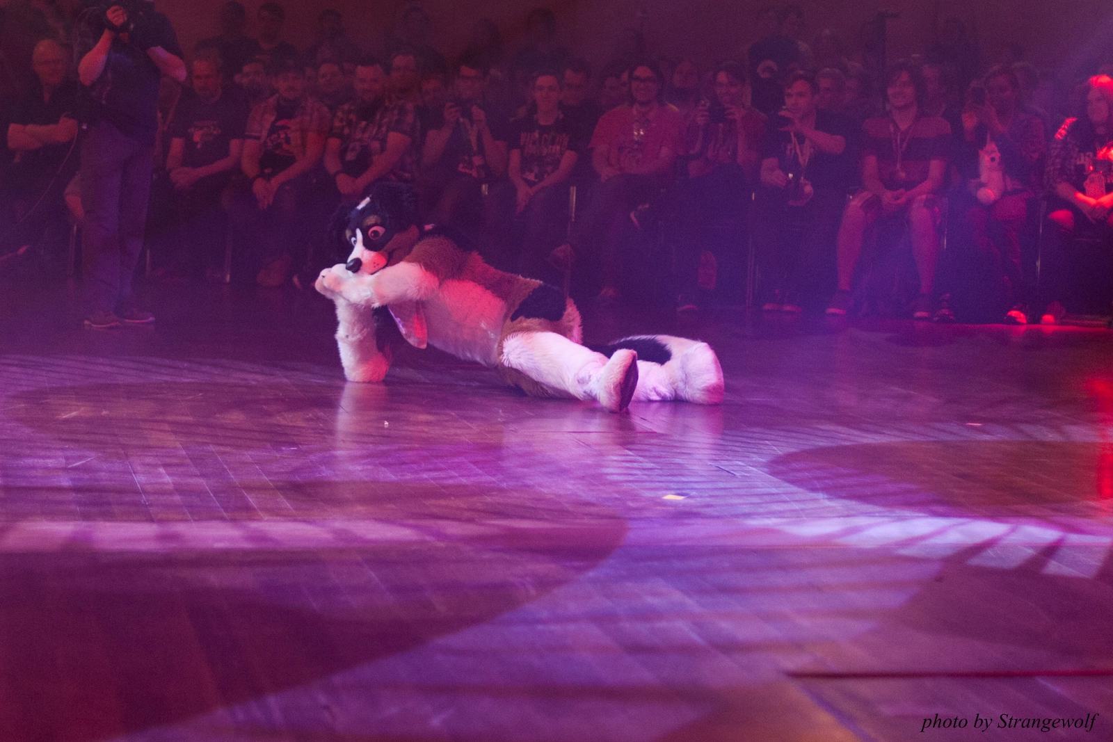 full image IMG_2492-lr16t.jpg