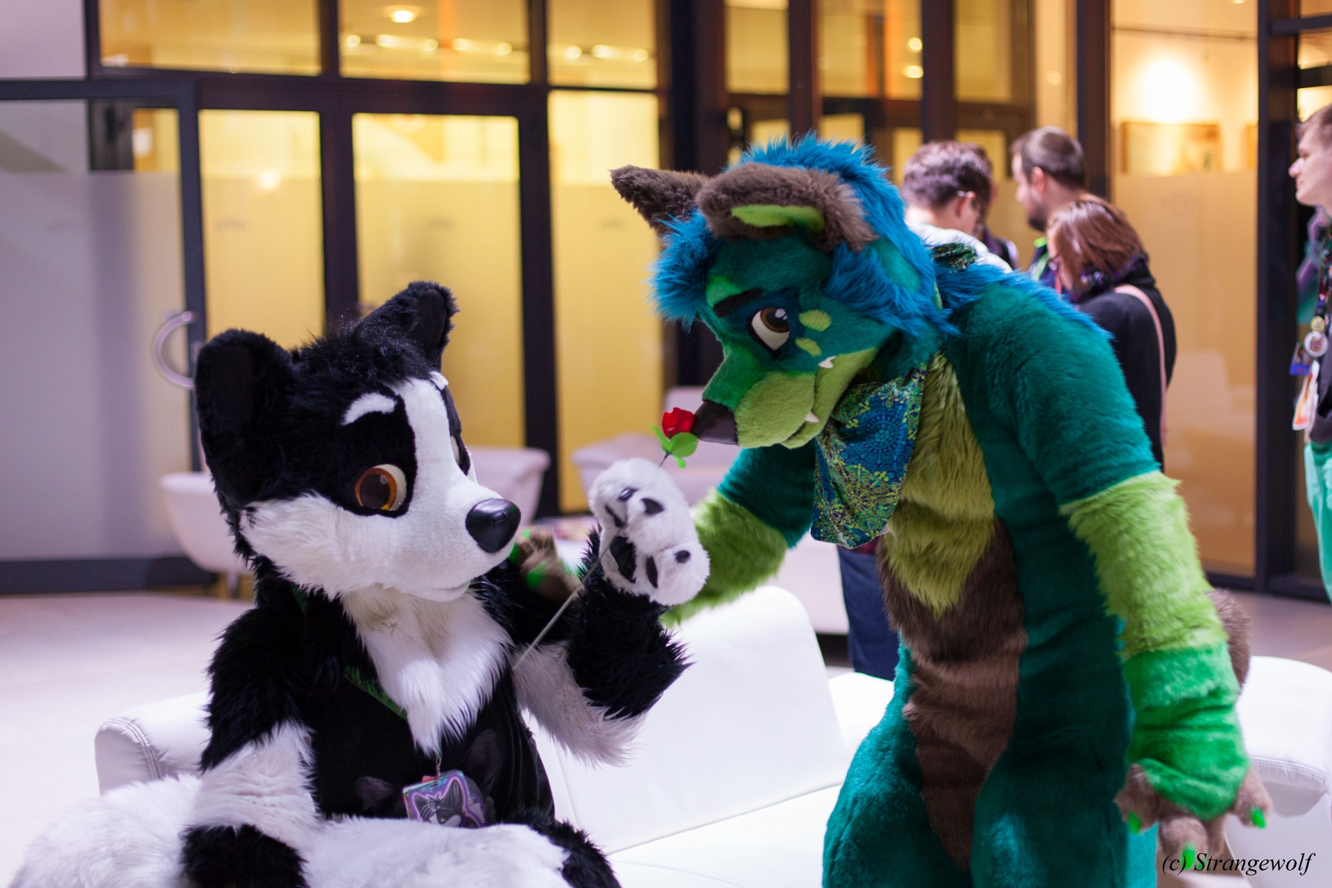 full image IMG_5391-lr19t.jpg