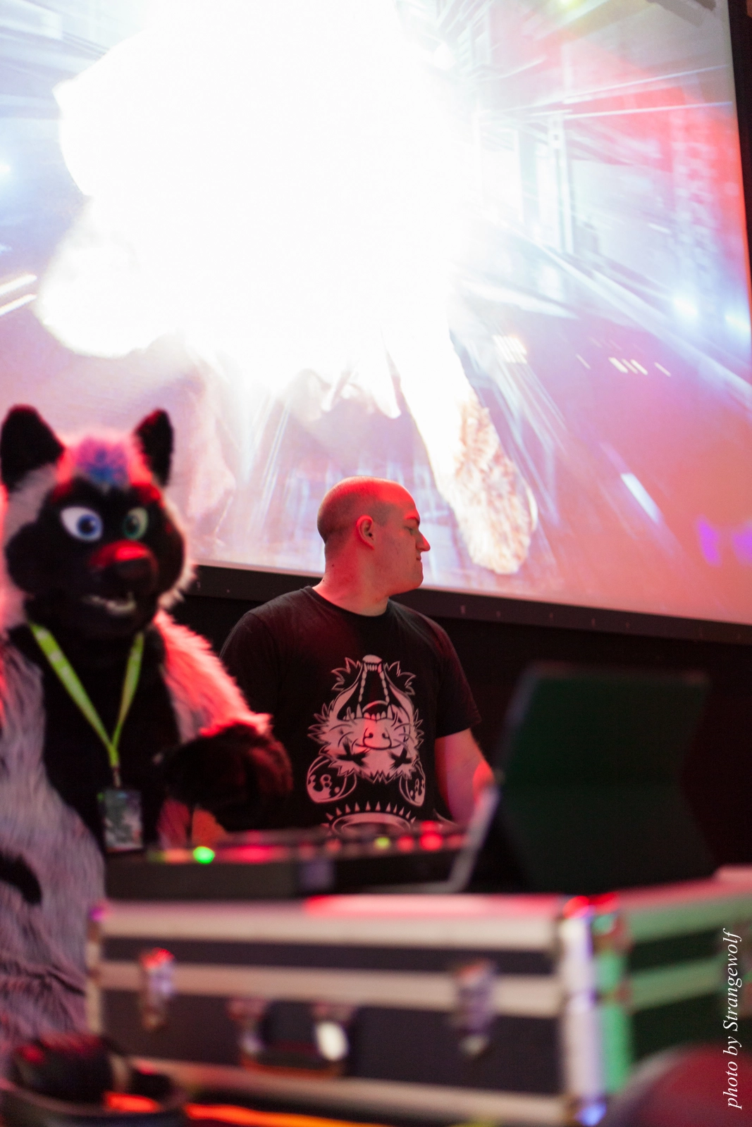 full image IMG_1847-lr16t.jpg