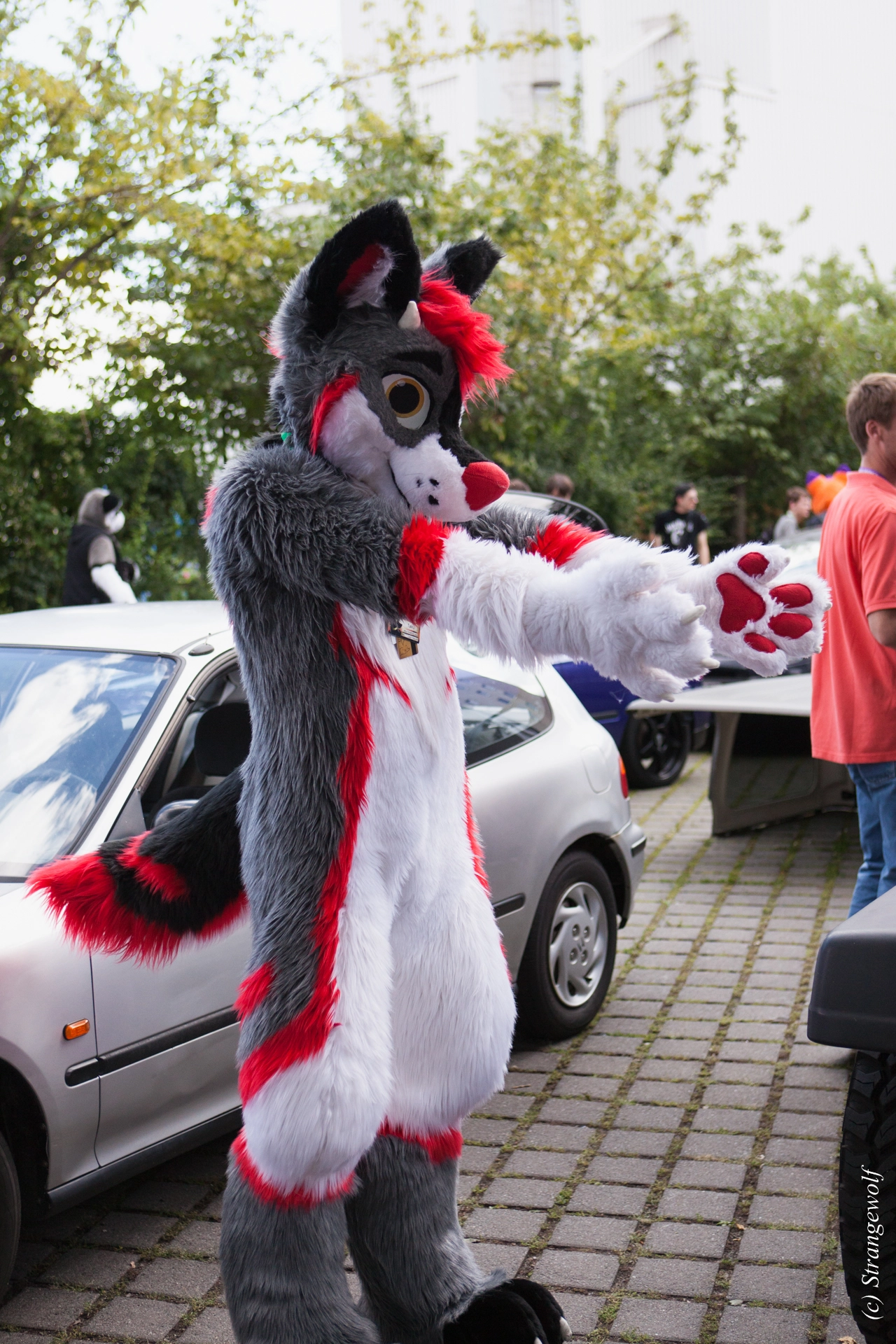 full image IMG_6939-lr19t.jpg