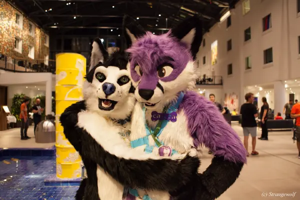 IMG_4832-lr19t.jpg of EF/EF24/