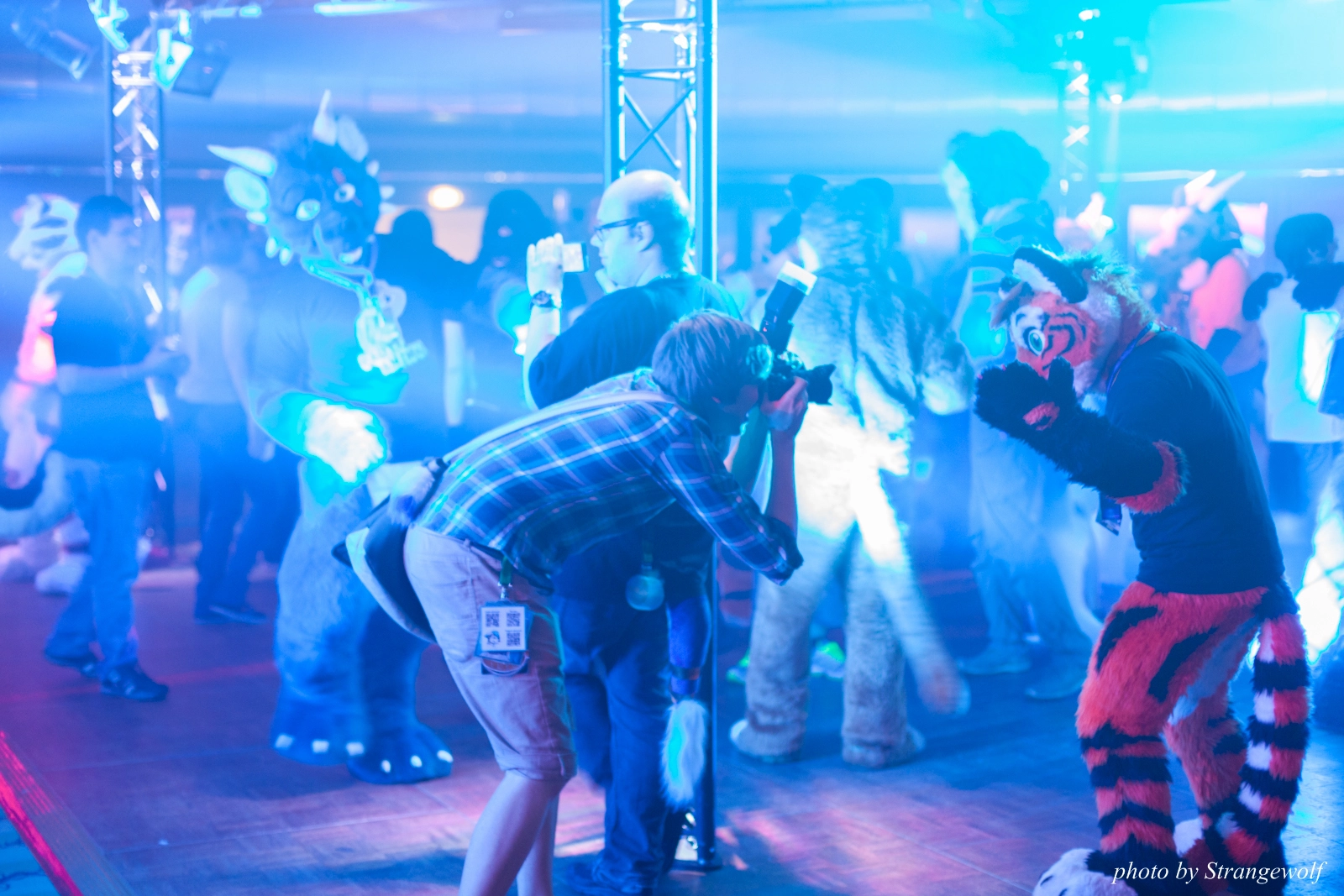 full image IMG_8834-lr16t.jpg