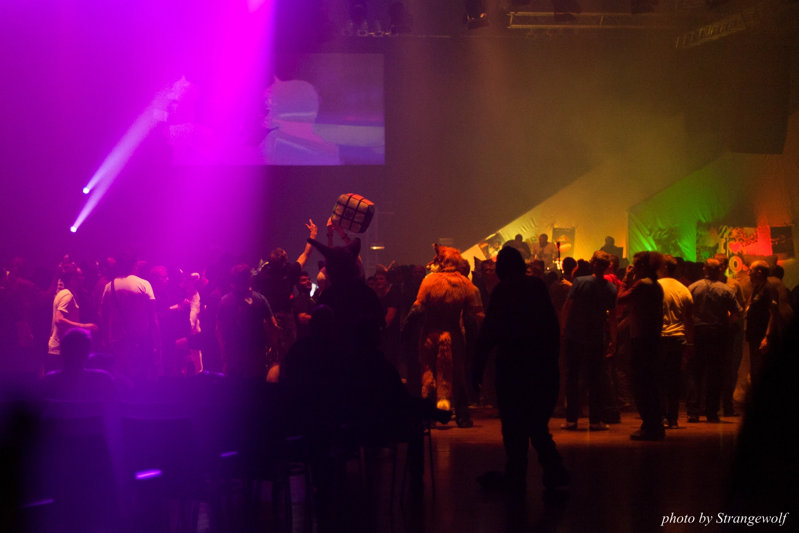 full image IMG_1655-lr16t.jpg