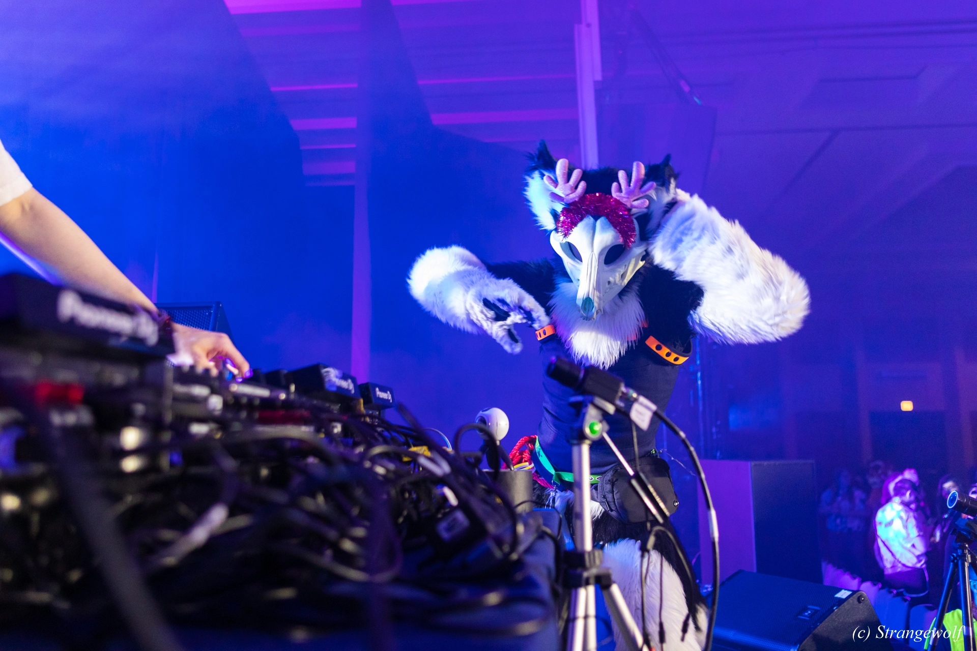 full image 1R3A4914-lr19t.jpg