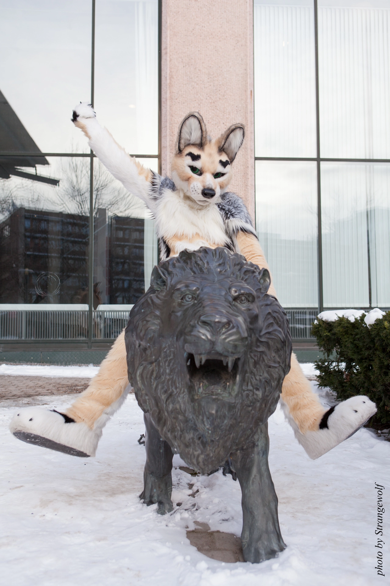 full image IMG_0328-lr19t.jpg