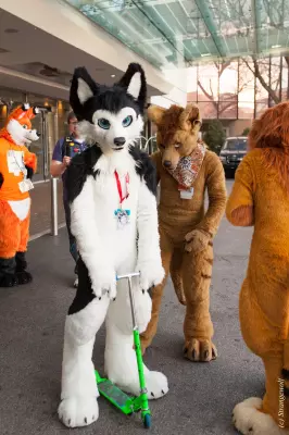 IMG_8219-lr19t.jpg of MFF/MFF2017/