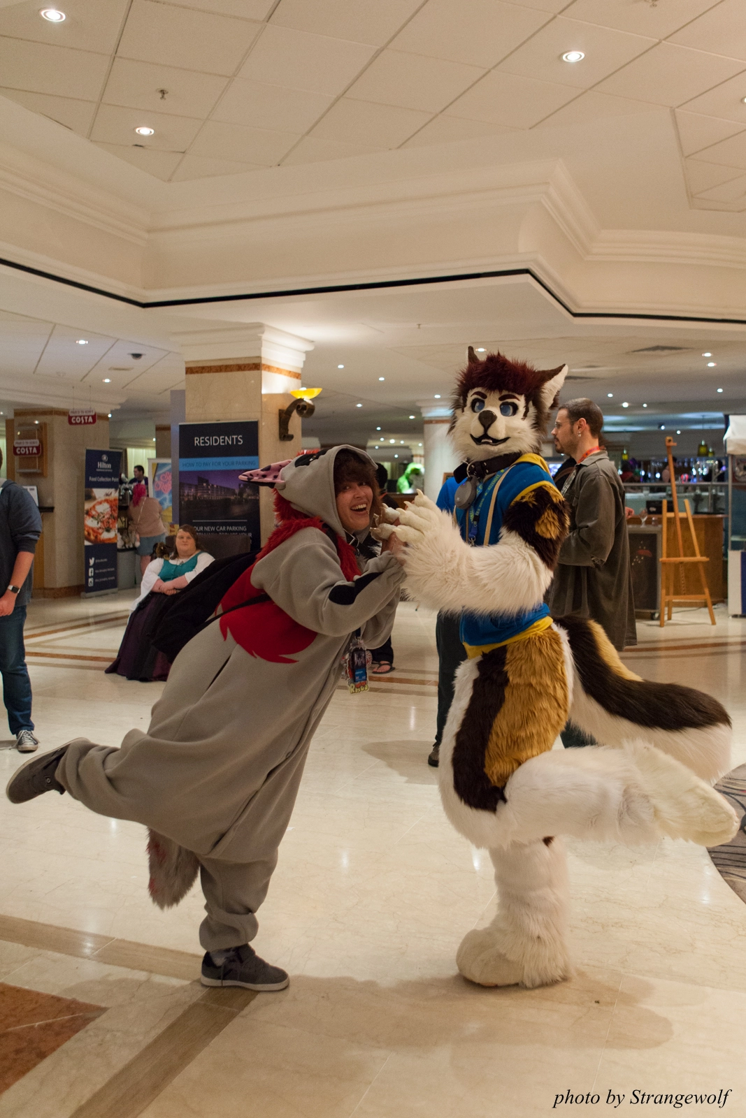 full image IMG_7583-lr16t.jpg