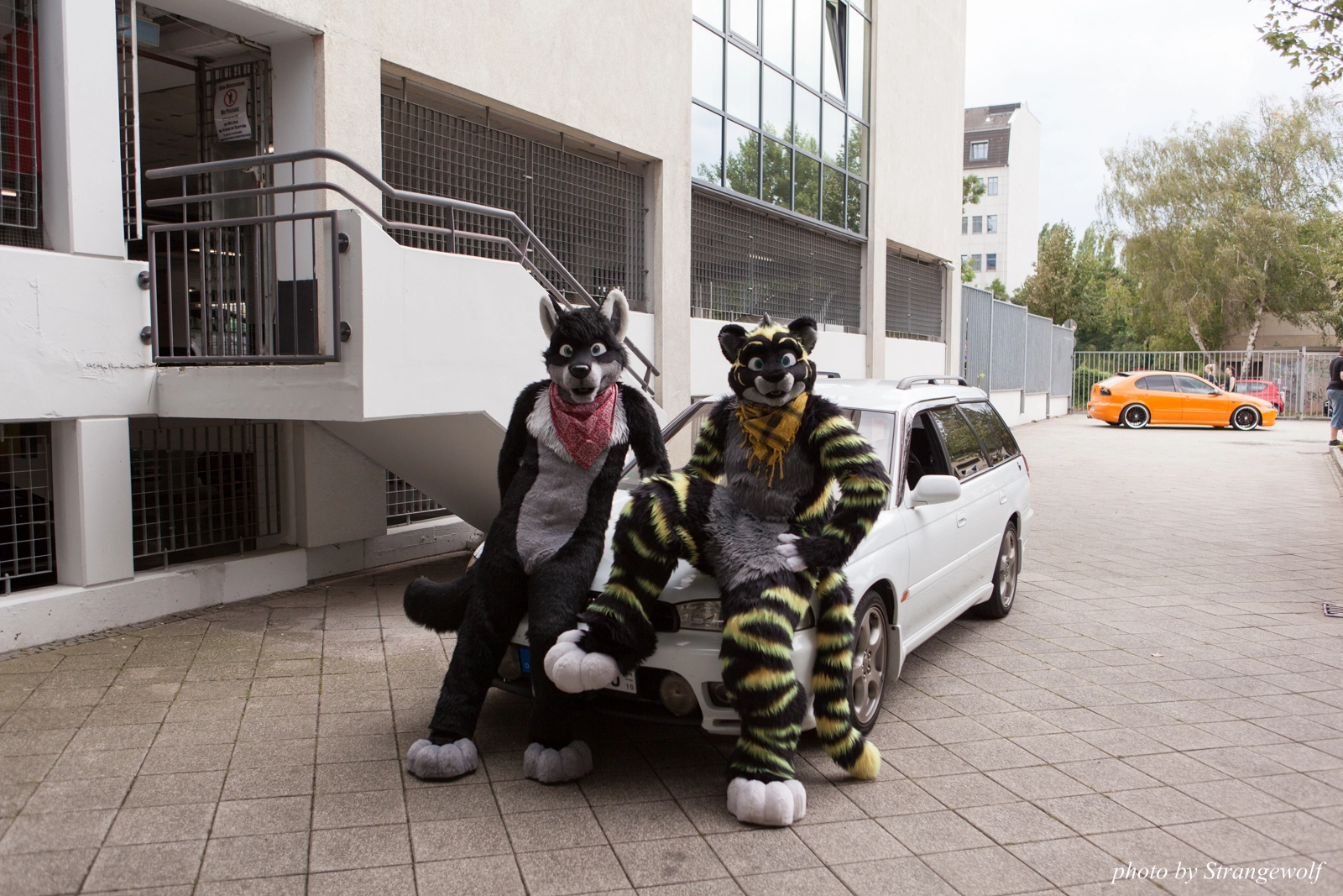 full image IMG_0117-lr16t.jpg