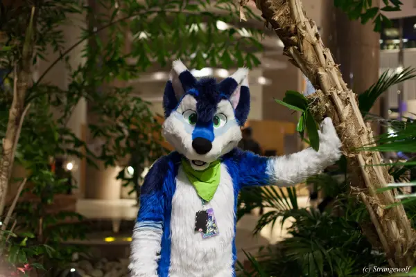 IMG_8985-lr19t.jpg of NFC/NFC2019/Shoot-Defus/