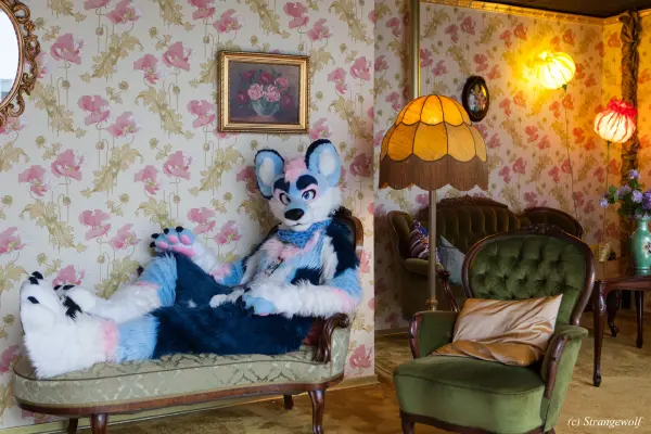 IMG_8461-lr19t.jpg of NFC/NFC2020/