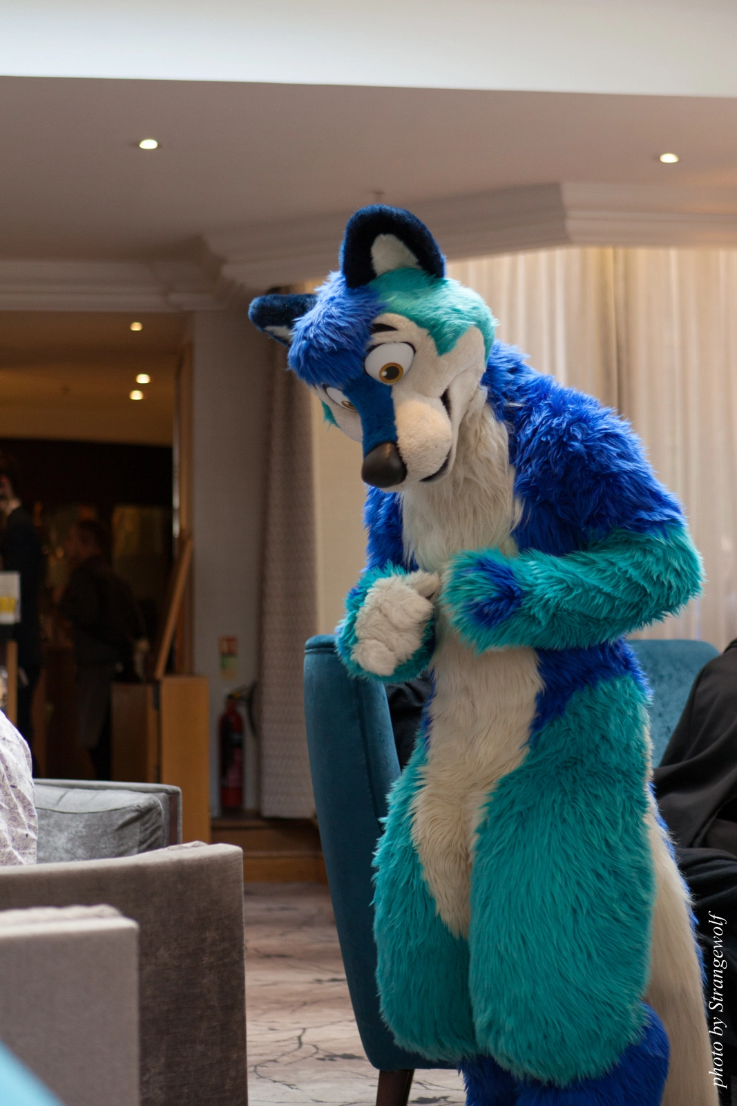 full image IMG_7126-lr16t.jpg