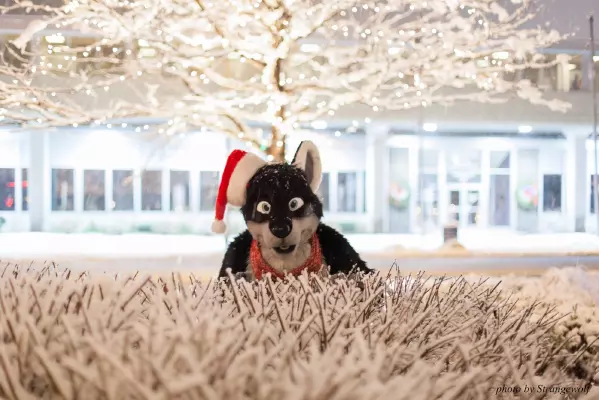 IMG_0835-lr16t.jpg of MFF/MFF2016/