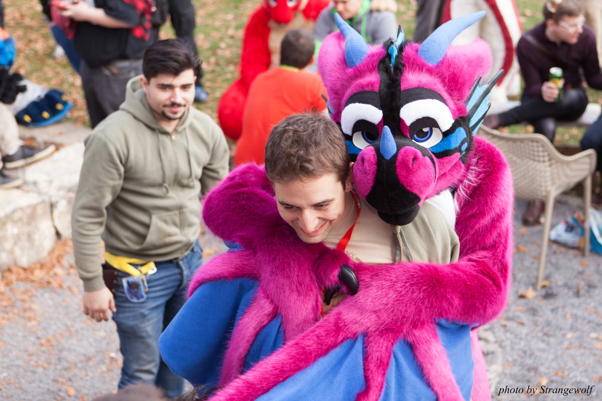 full image IMG_7905-lr19t.jpg