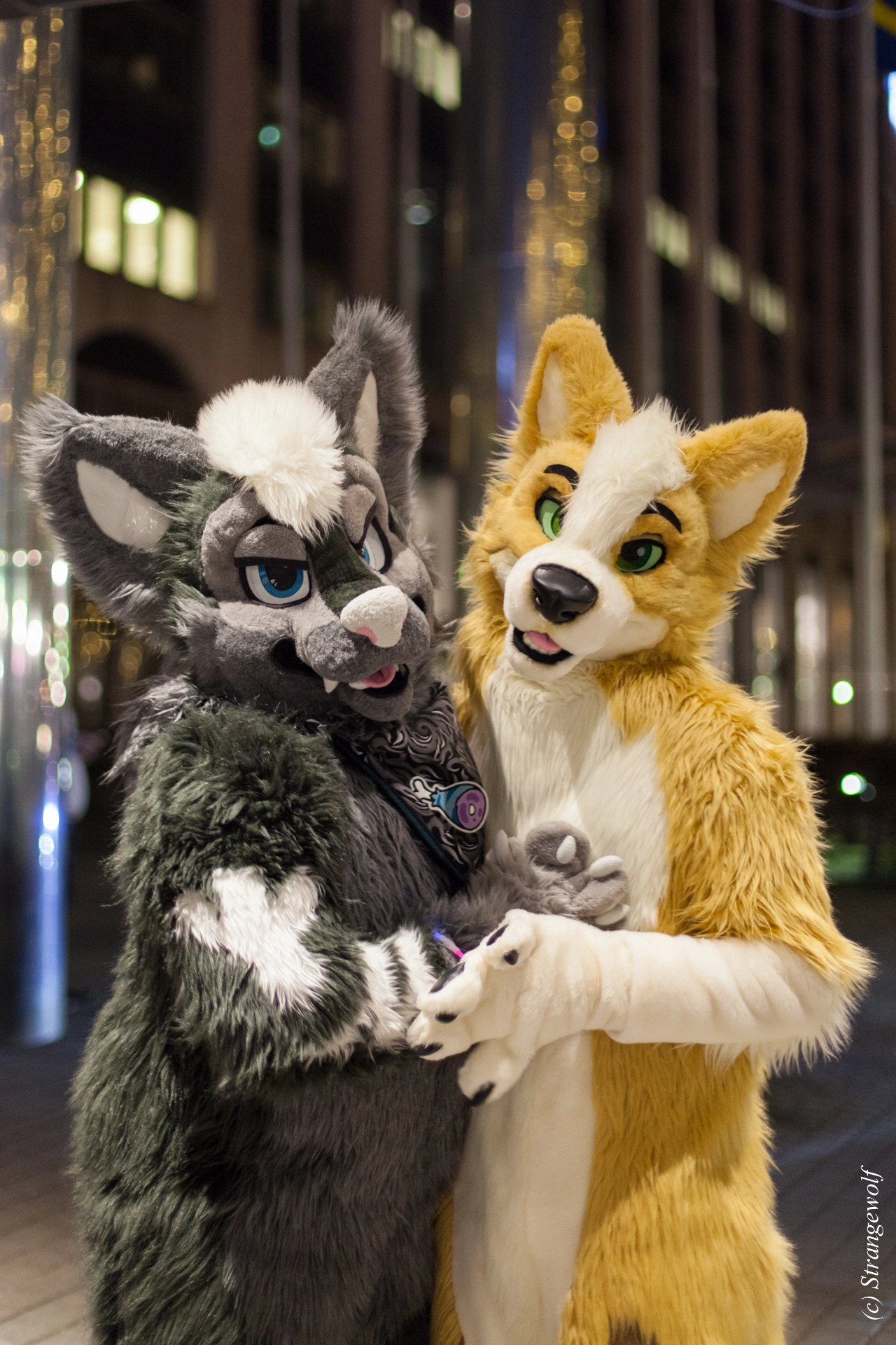 full image IMG_9404-lr19t.jpg