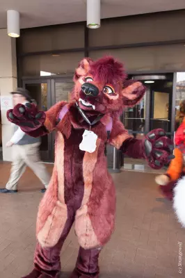 IMG_8437-lr19t.jpg of MFF/MFF2017/