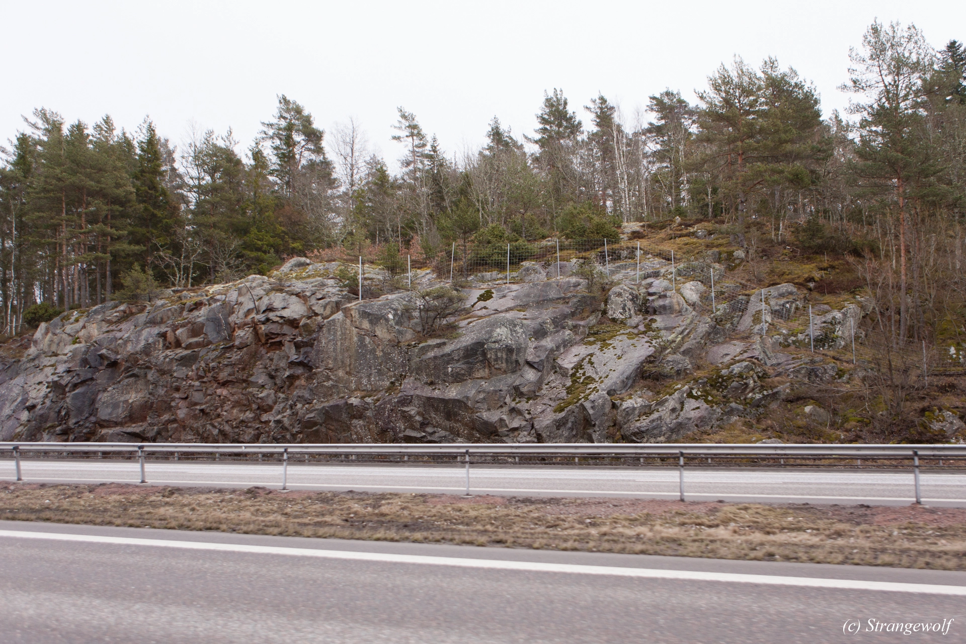 full image IMG_9987-lr19t.jpg