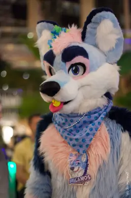 IMG_9732-lr19t.jpg of NFC/NFC2019/