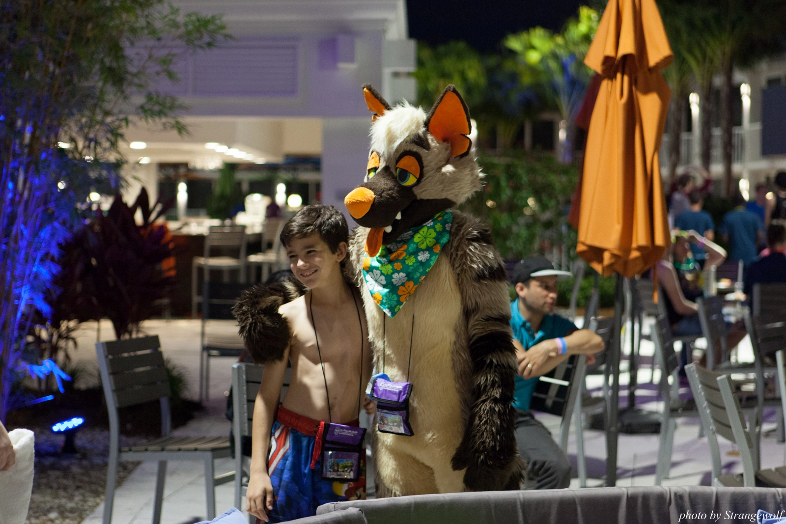 full image IMG_8556-lr16t.jpg