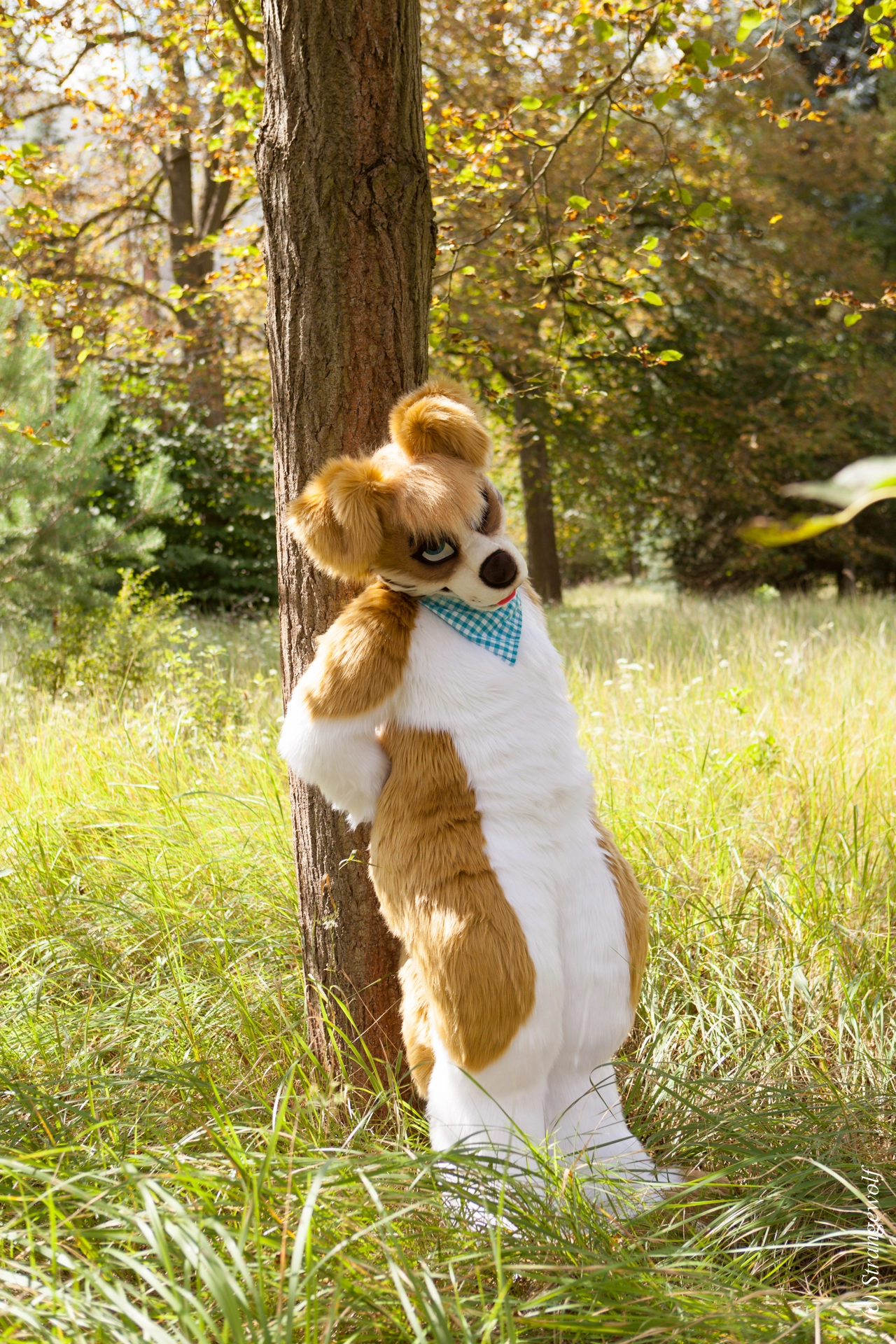 full image IMG_6171-lr19t.jpg