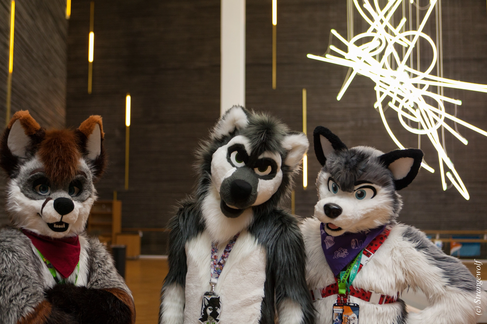 full image IMG_8247-lr19t.jpg