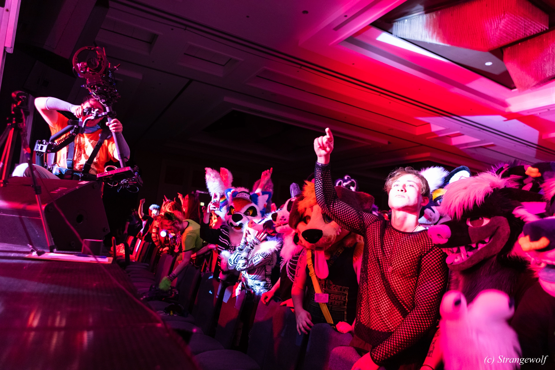 full image 1R3A6621-lr19t.jpg