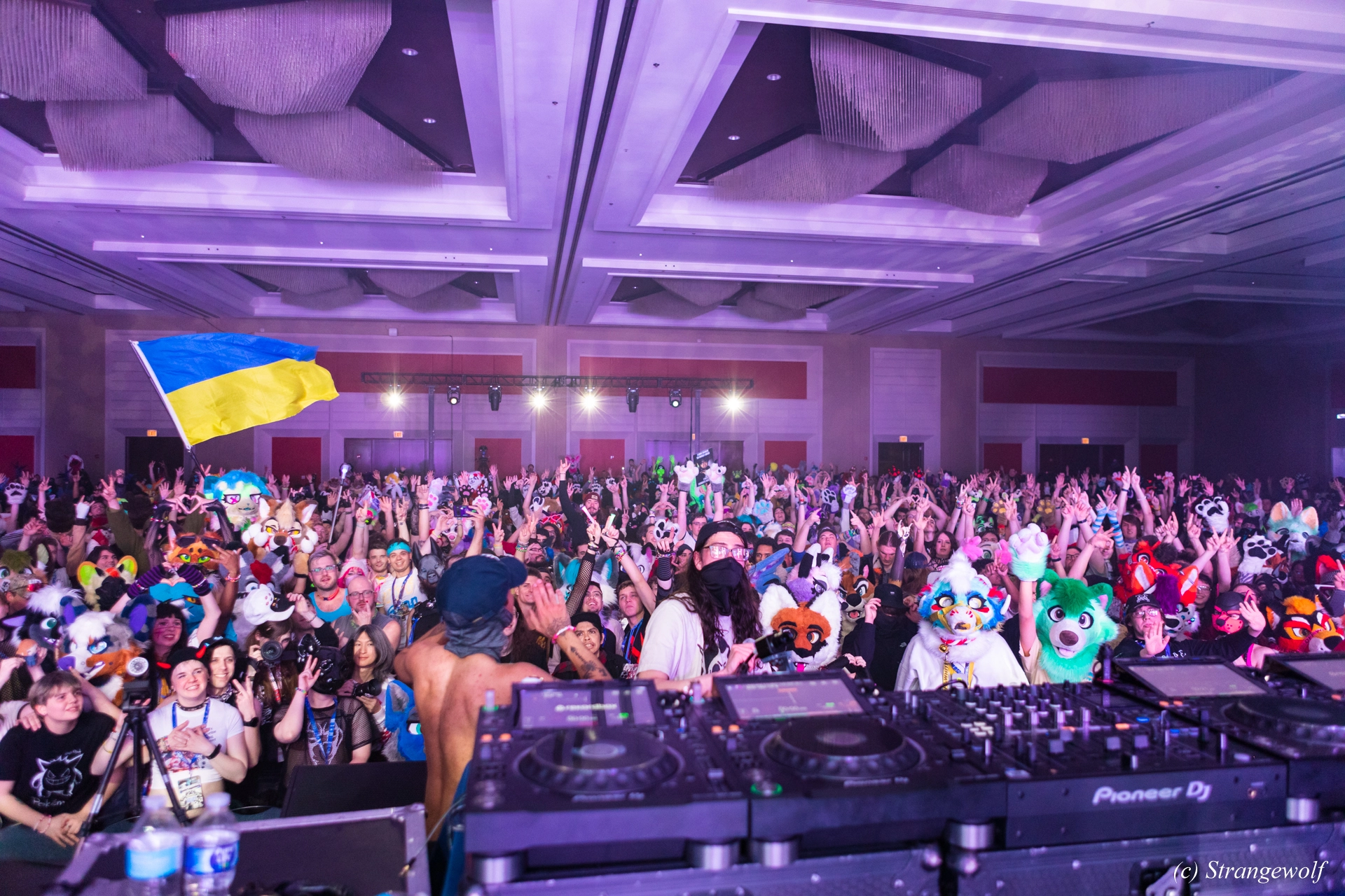 full image 1R3A5029-lr19t.jpg