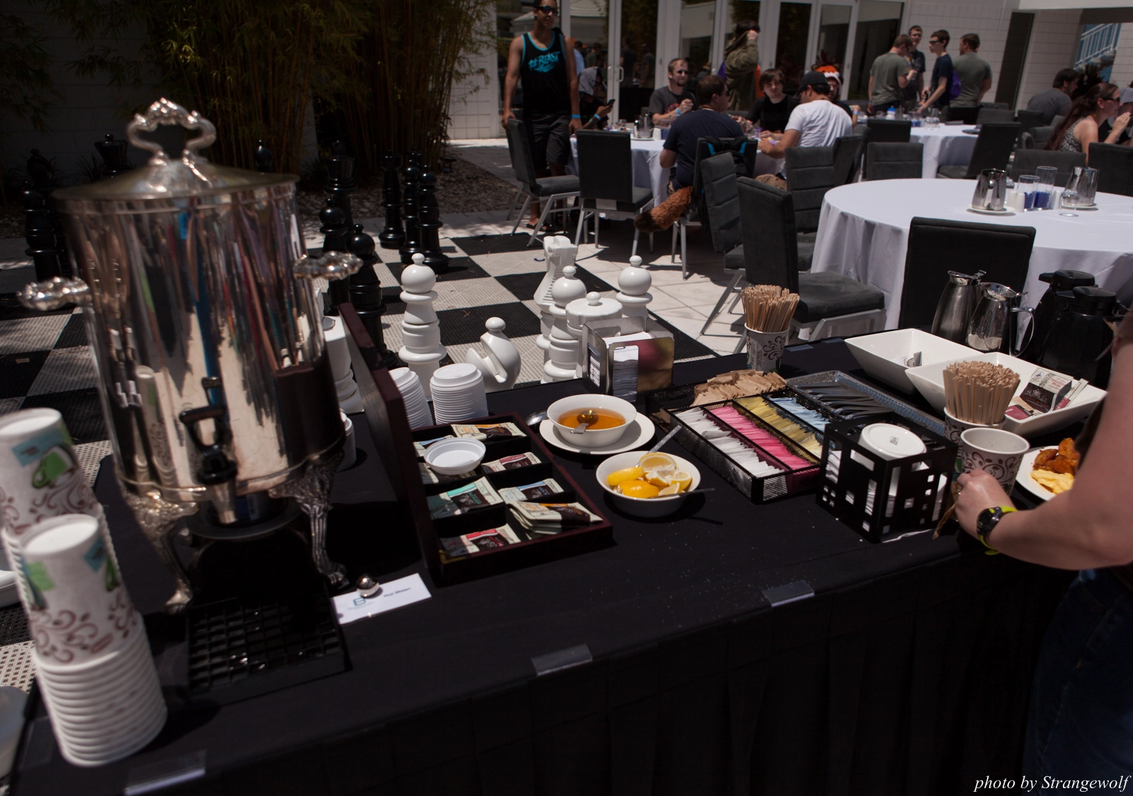 full image IMG_8820-lr16t.jpg