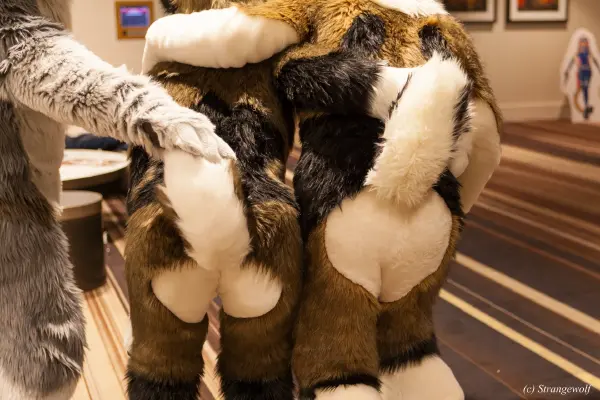 IMG_1276-lr19t.jpg of FWA/FWA2018/