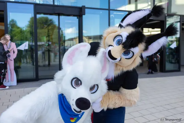 1R3A9274-lr19t.jpg of EF/EF29/