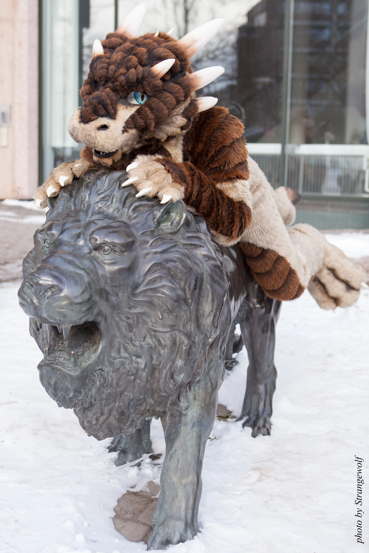 full image IMG_0360-lr19t.jpg