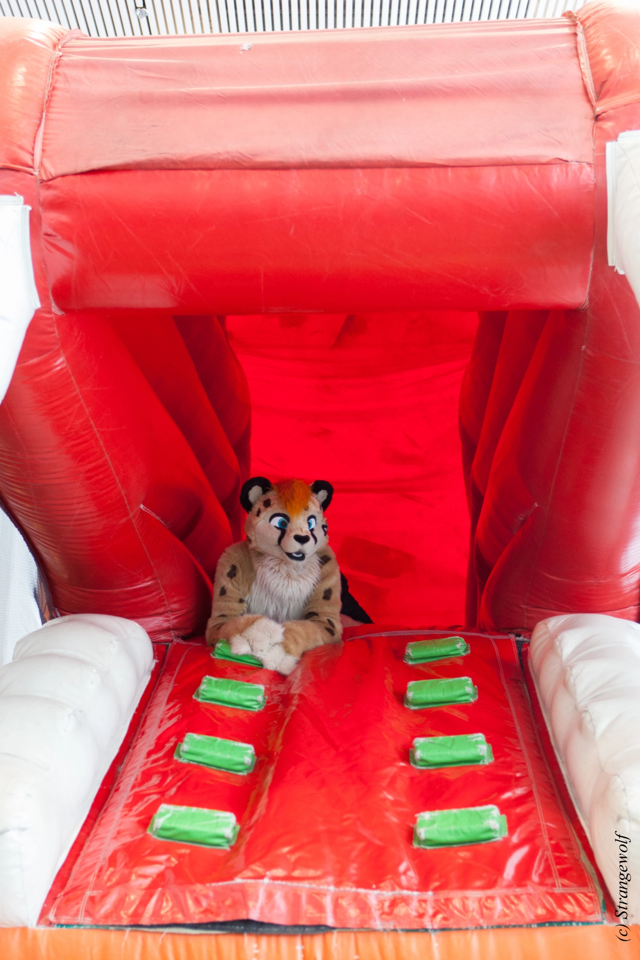 full image IMG_8852-lr19t.jpg