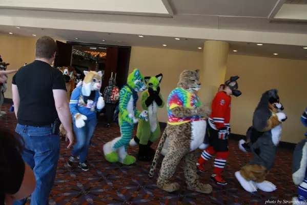 IMG_0525-lr.jpg of MFF/MFF2013/
