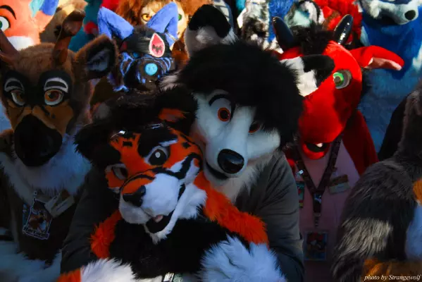 IMG_0684-lr.jpg of MFF/MFF2013/