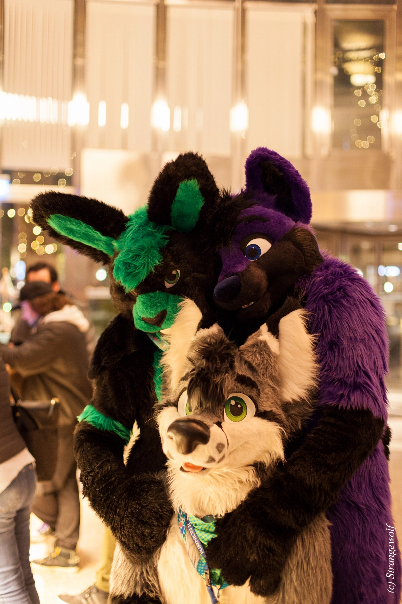 full image IMG_9667-lr19t.jpg