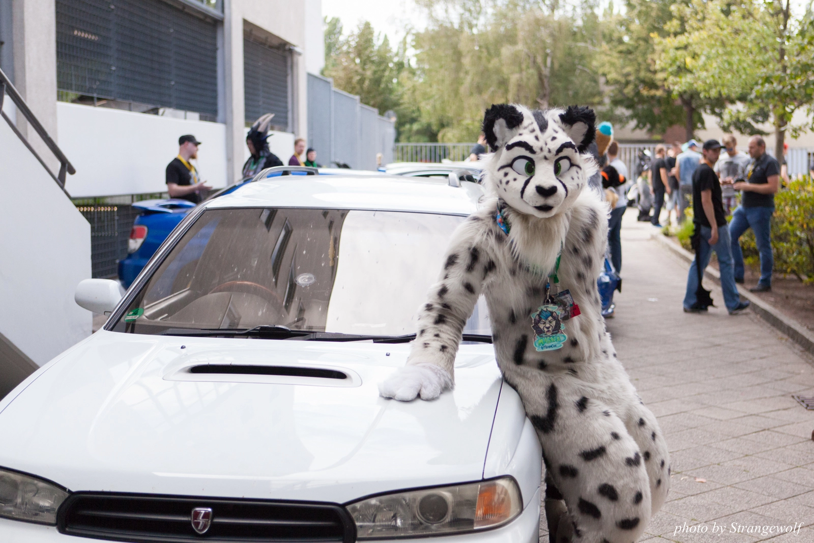 full image IMG_0066-lr16t.jpg
