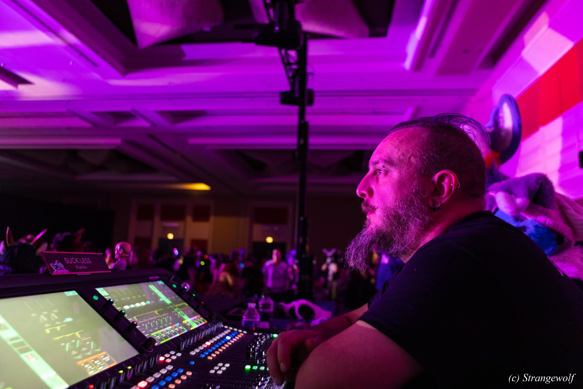 full image 1R3A4986-lr19t.jpg