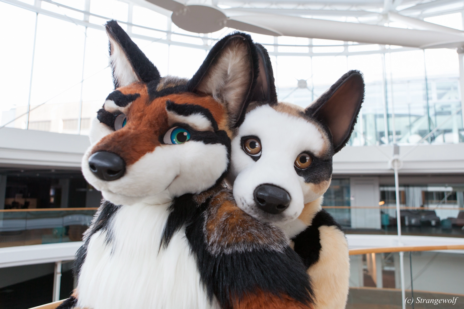 full image IMG_0472-lr19t.jpg